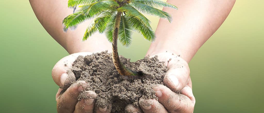 Sustainable sourcing