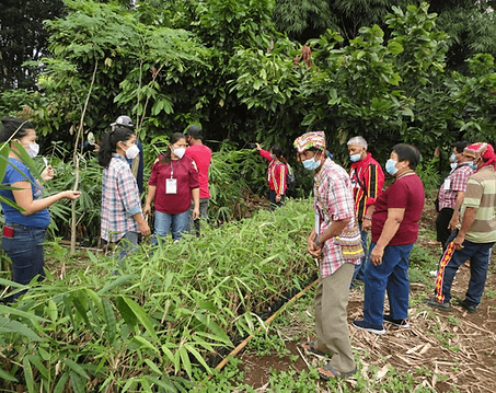 Community Engagement